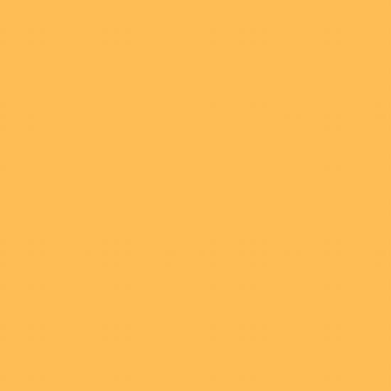 Lee Farbfilterfolie 54 x 61 cm Nr. 020 - Med. Amber