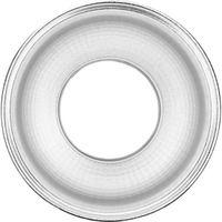 Profoto Zoom-Reflektor mit integrierter Wabenhalterung