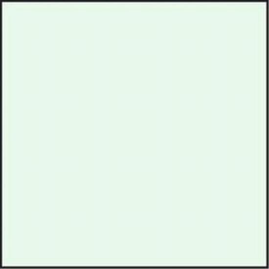 Lee Folienfilter CC-Filter 75 x 75 mm 10 Grün