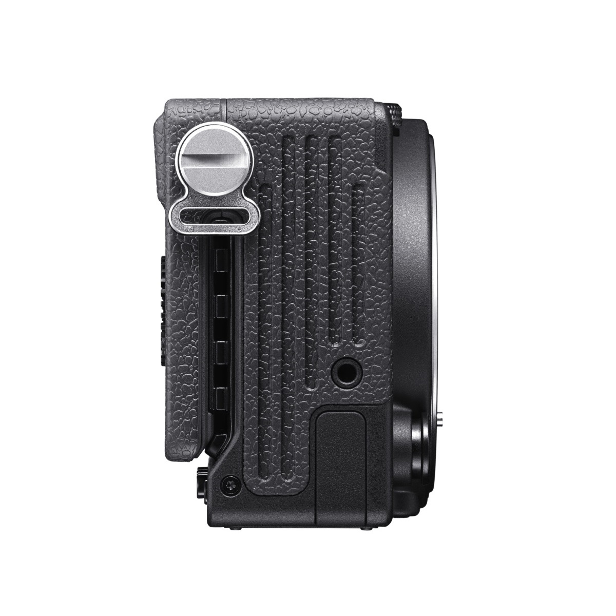 Sigma fp L