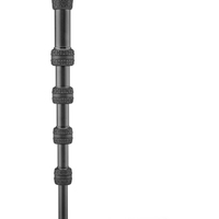 3 Legged Thing Punks Taylor 2.0 Einbeinstativ mit Docz-Fußstabilisator Schwarz