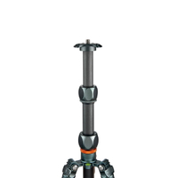 3 Legged Thing Pro 2.0 Leo Carbon grau