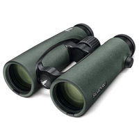 Swarovski EL 10x42 WB grün