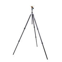 3 Legged Thing Pro 2.0 Winston Carbon mit AirHed Kugelkopf grau