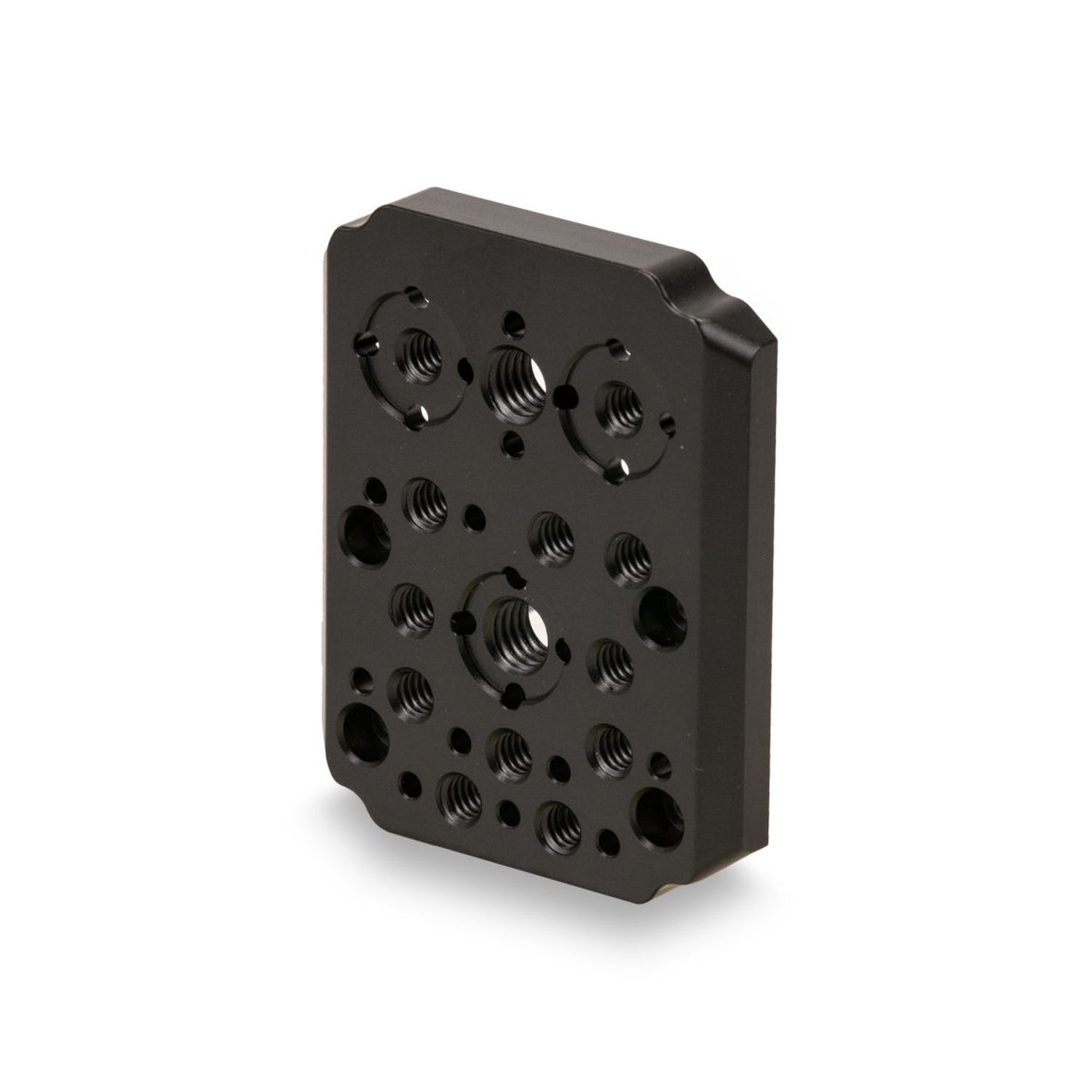 Tilta ES-T19-RMP hintere Montageplatte für C500 Mk II/C300 Mk III