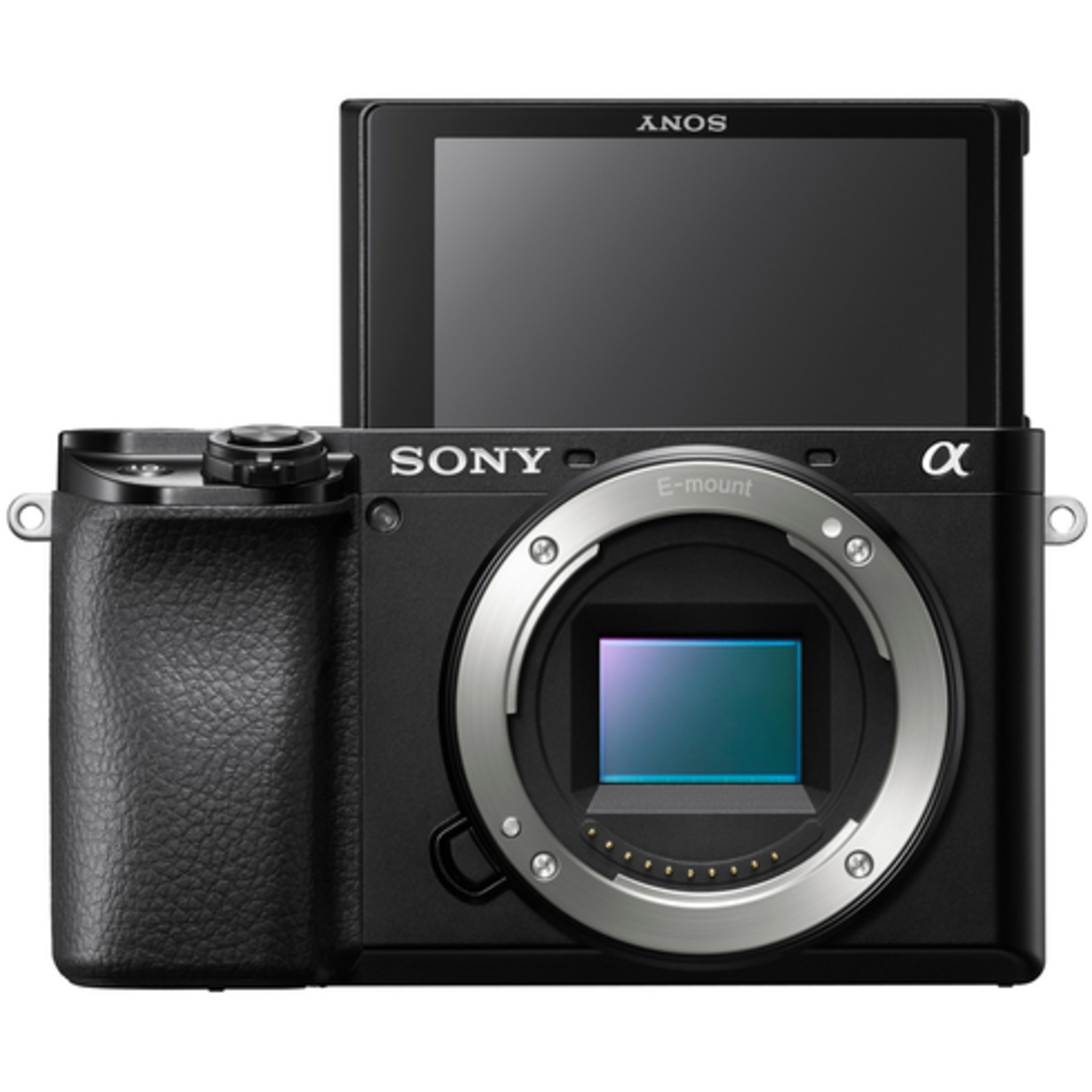 Sony Alpha 6100A mit E PZ 16-50mm F3.5-5.6 OSS II und E 55-210mm F4.5-6.3 OSS