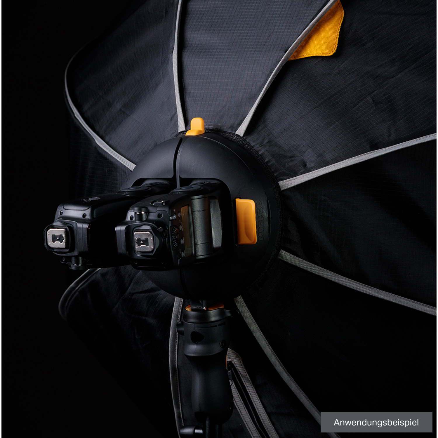 MagMod Magbox Pro 42 Octa