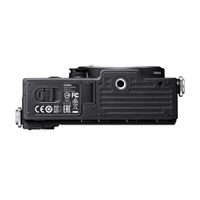 Sigma fp L