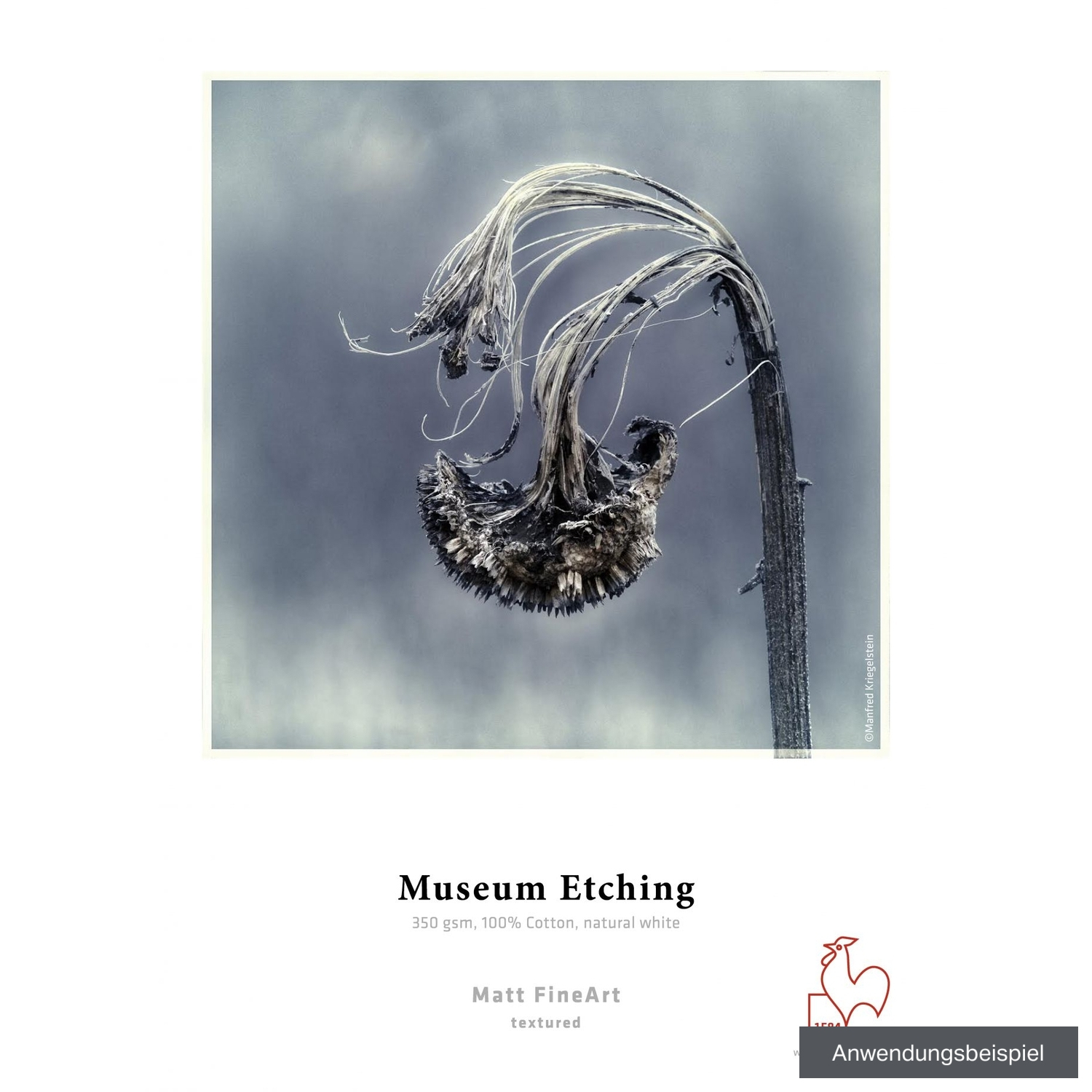 Hahnemühle Museum Etching 17" x 12m 350g/m² Rolle