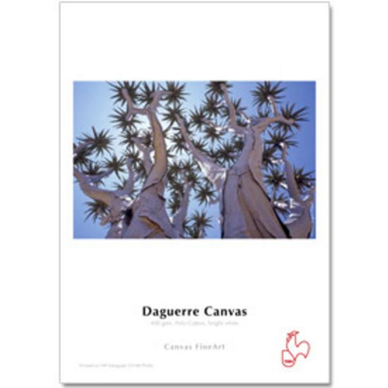 Hahnemühle FineArt Canvas Daguerre 44"x12m  400g/m²