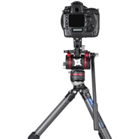 Leofoto Carbon-Dreibeinstativ LS-325CEX