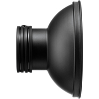 Profoto Barndoor Kit 234mm