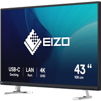 Eizo EV4340X-BK FlexScan 42,5" schwarz
