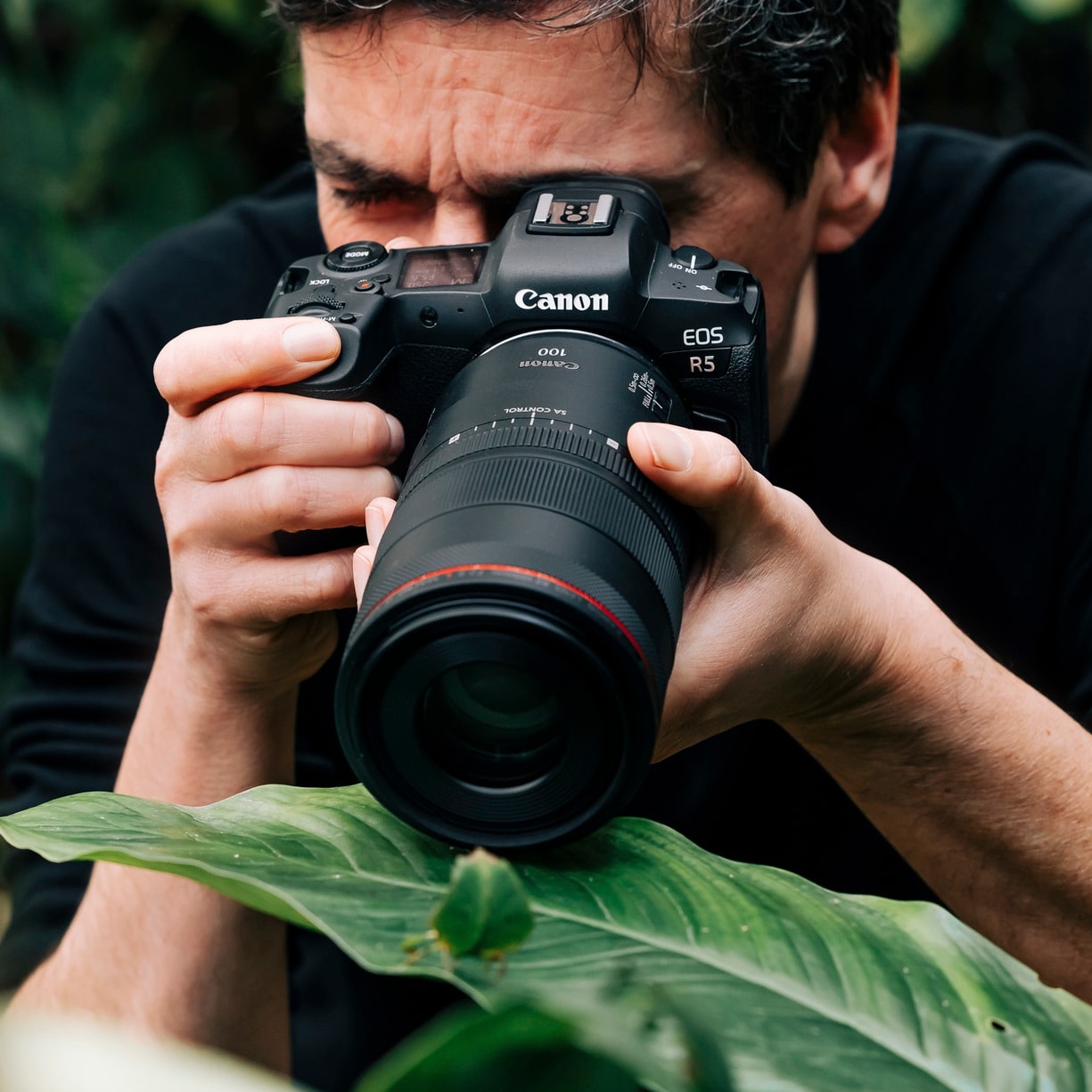 Canon RF 100mm F2.8L Macro IS USM