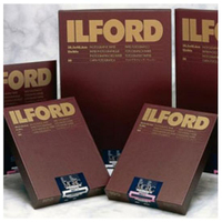 Ilford Harman MG RC Warmtone 44M, 30.5x40.6cm, 10 Blatt