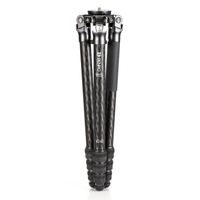 Benro Mammoth Carbon Stativ