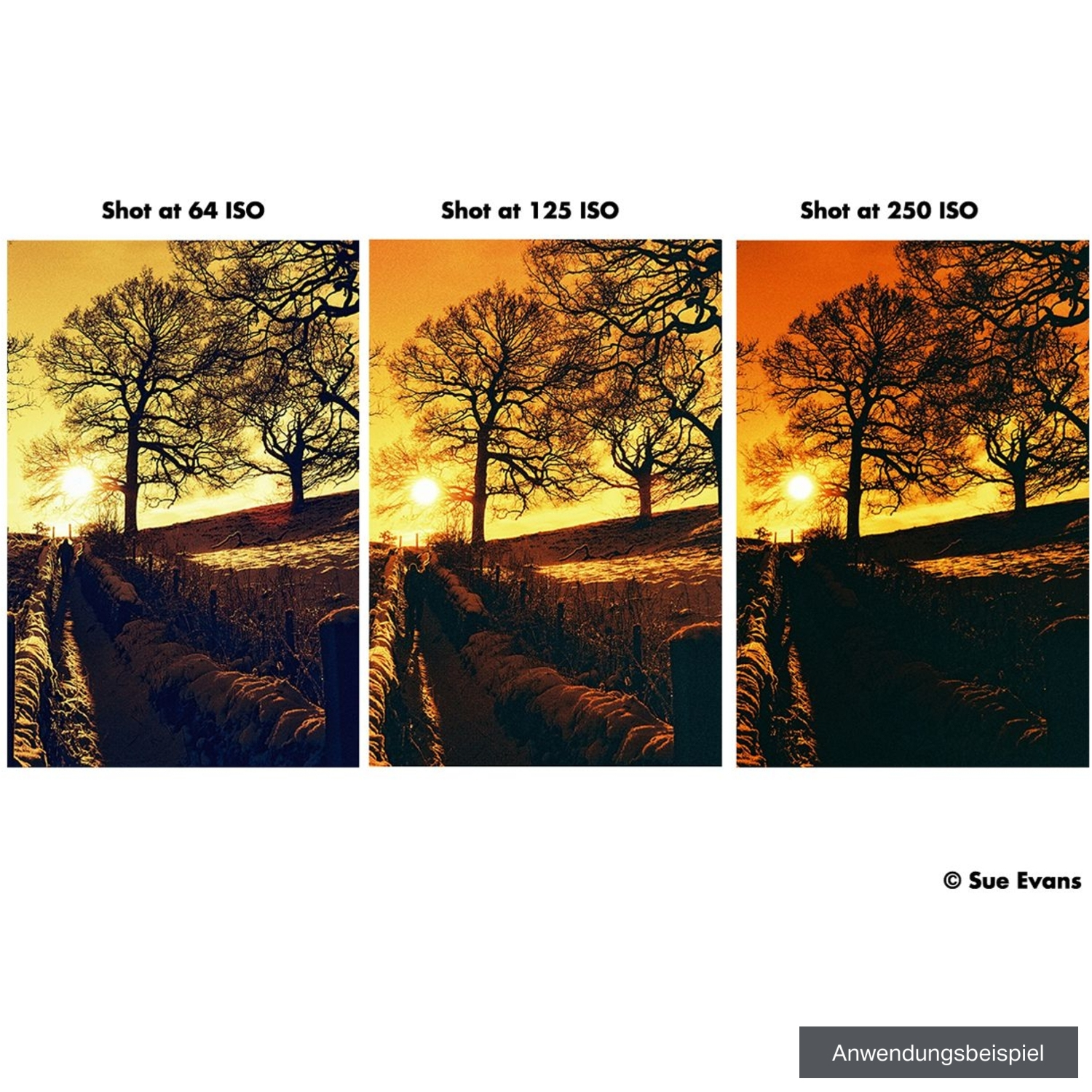 Harman Red ISO 125-36 Negativfilm 