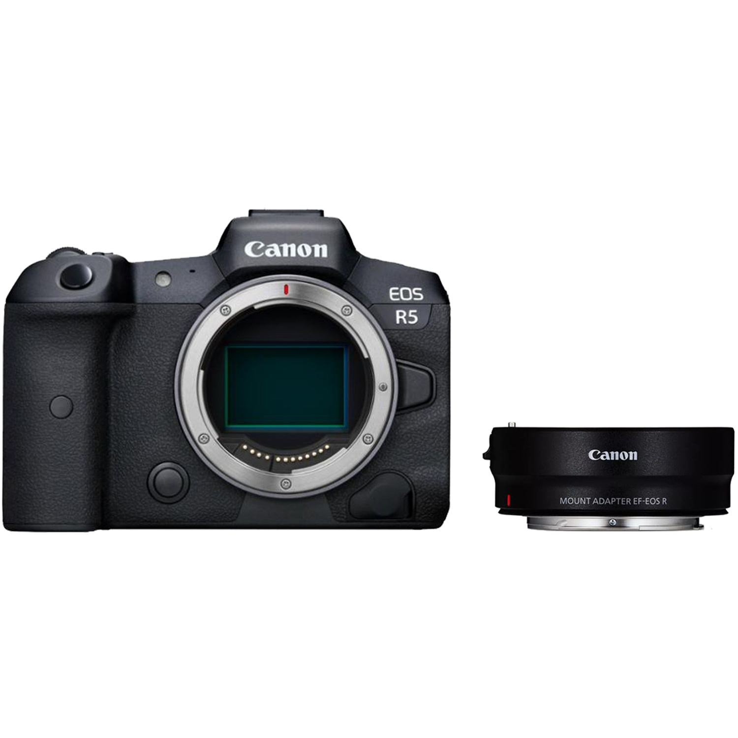 Canon EOS R5 mit EF-EOS R Bajonettadapter