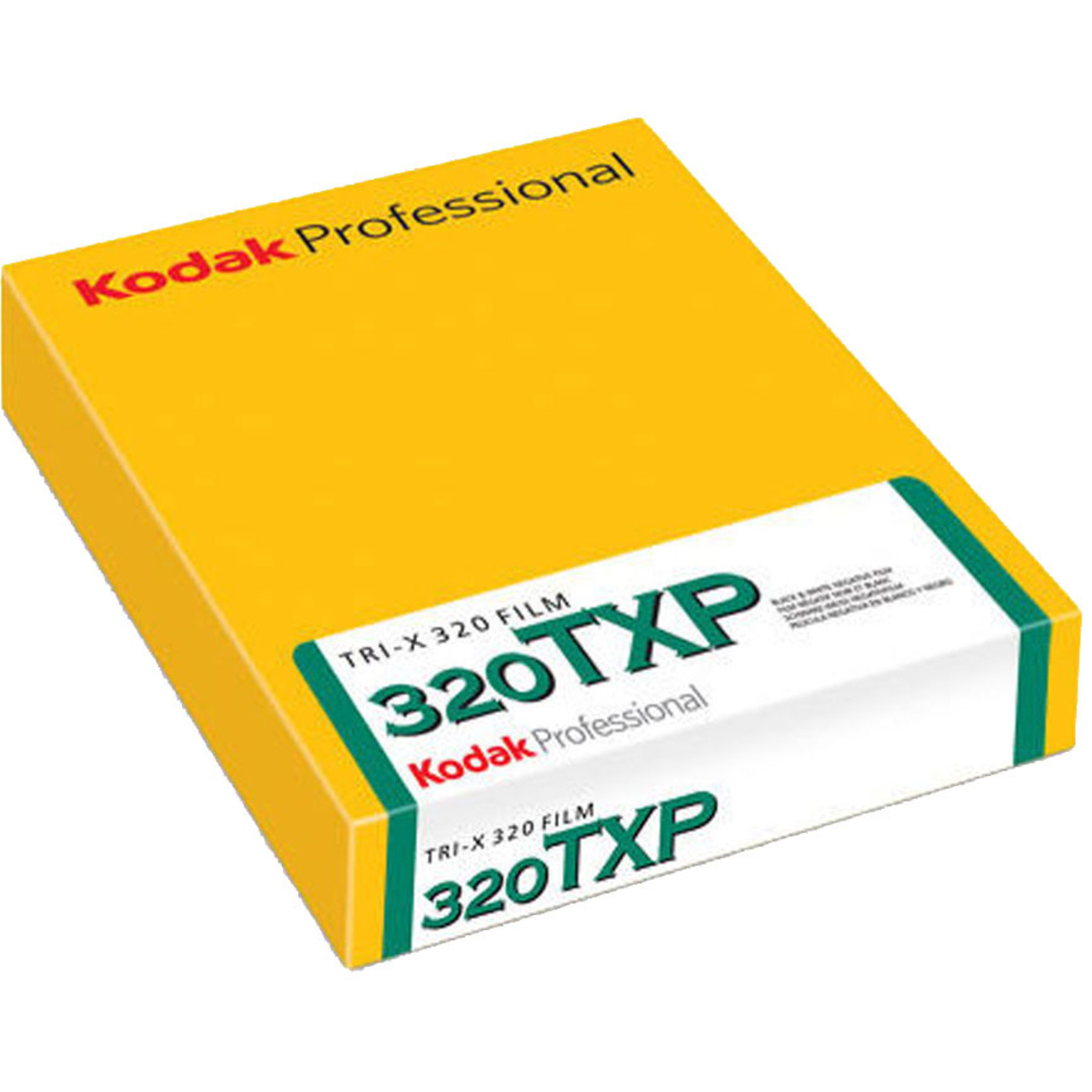 Kodak Tri-X-Pan 320 10,2 x 12,7cm Planfilm Professional 10 Blatt