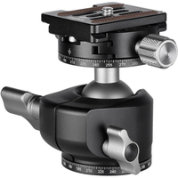 Leofoto Kugelkopf LH-30R mit Schnellwechselplatte NP-50
