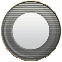 PolarPro LiteChaser iPhone 13/14 - GoldMorphic Filter