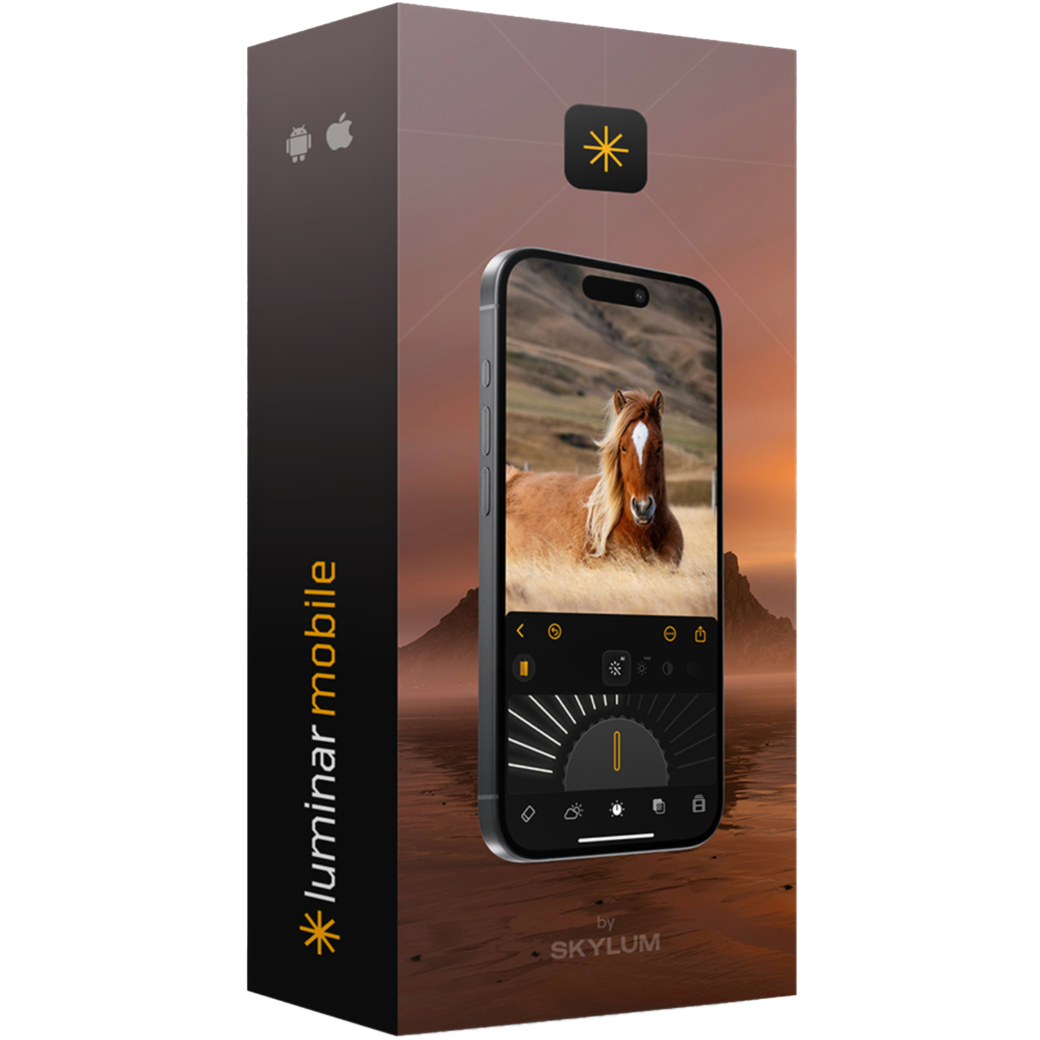 Skylum Luminar Mobile Android Lifetime