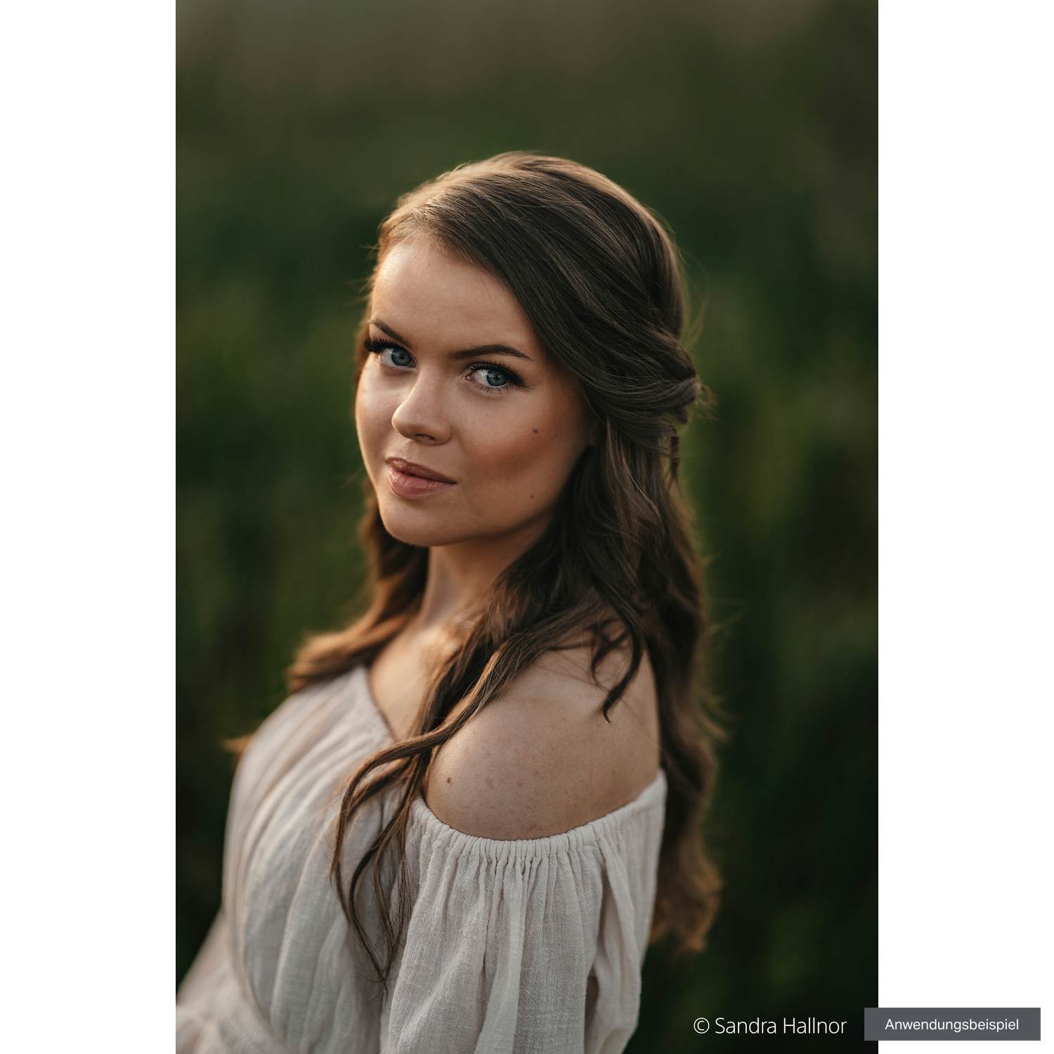 Sony FE 85mm F1.4 G Master II