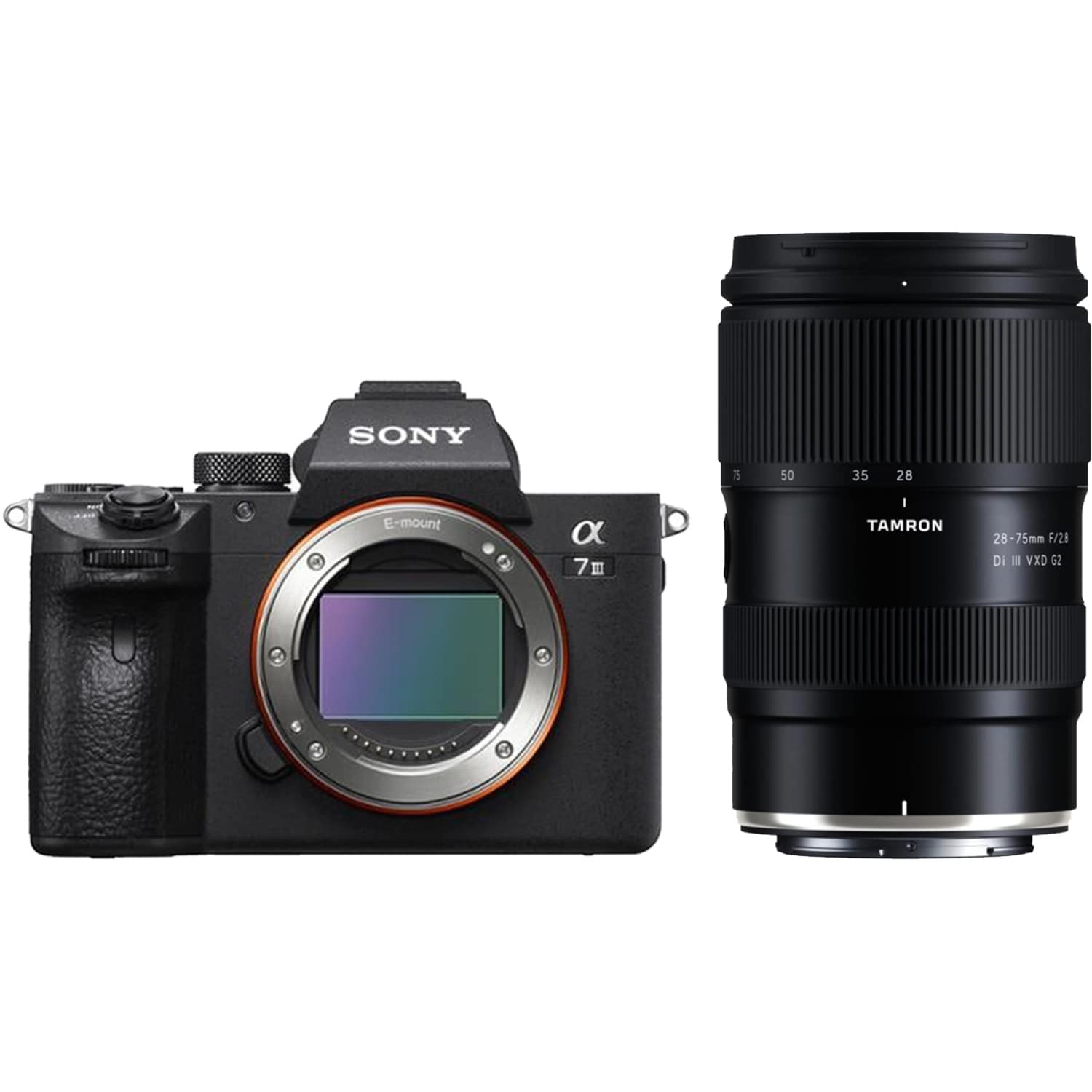 Sony Alpha 7 III mit Tamron 28-75mm F2.8 Di III VXD G2