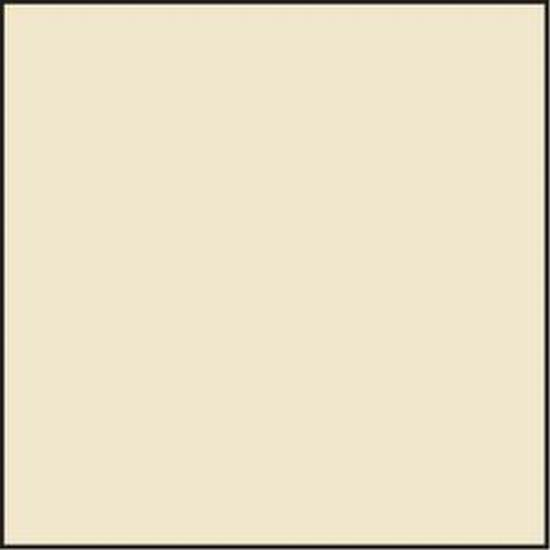 Lee Resin CT-Filter 100 x 100mm 81B