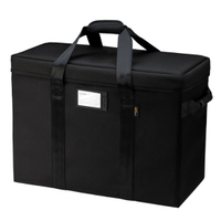 Tenba Air Case Profoto Pro-10 schwarz