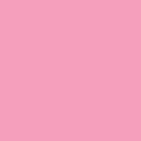 Calumet Hintergrundkarton Carnation (1,35 x 11m Rolle)