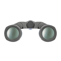 Zeiss Terra 8X25 ED Pocket grau/schwarz