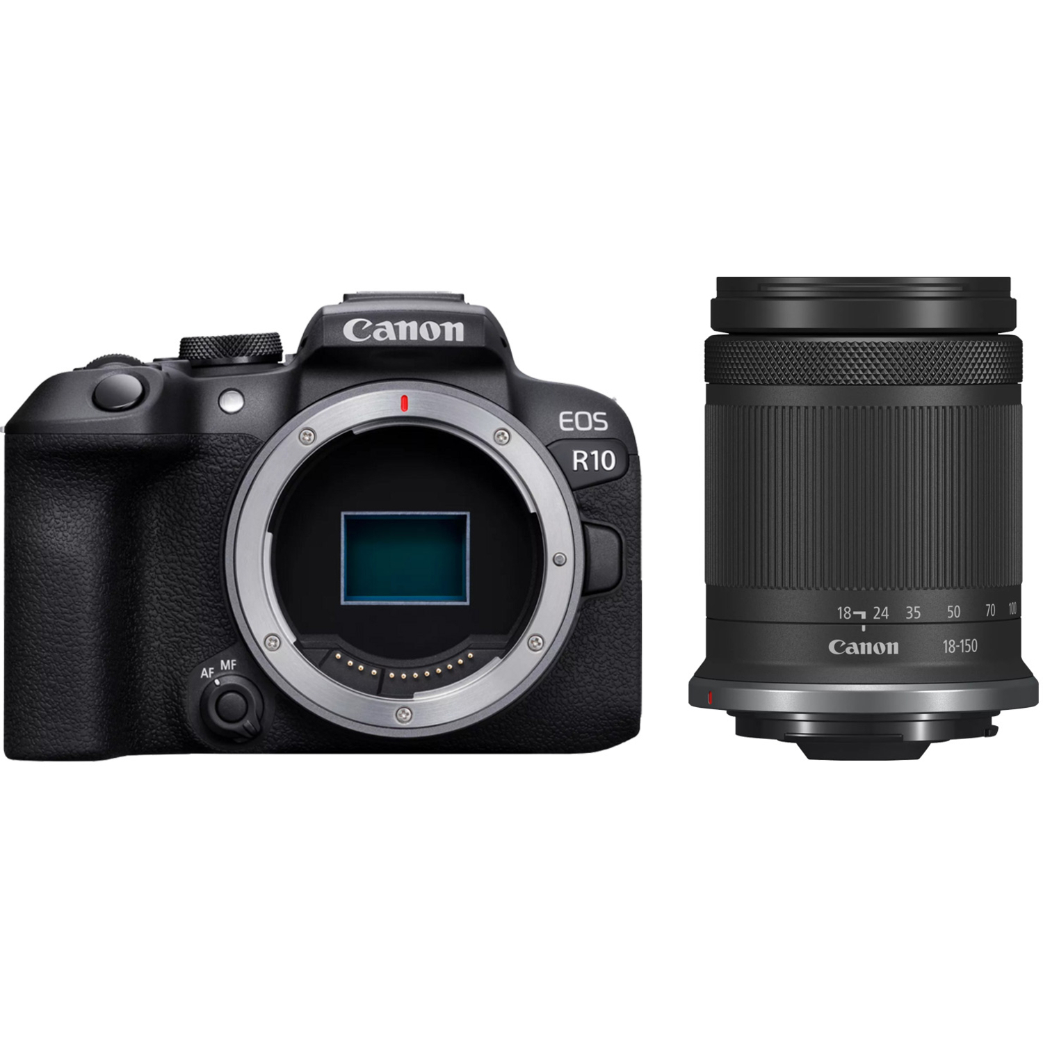 Canon EOS R10 mit RF-S 18-150mm F3.5-6.3 IS STM ohne Adapter