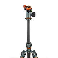3 Legged Thing Pro 2.0 Winston Carbon mit AirHed Kugelkopf grau