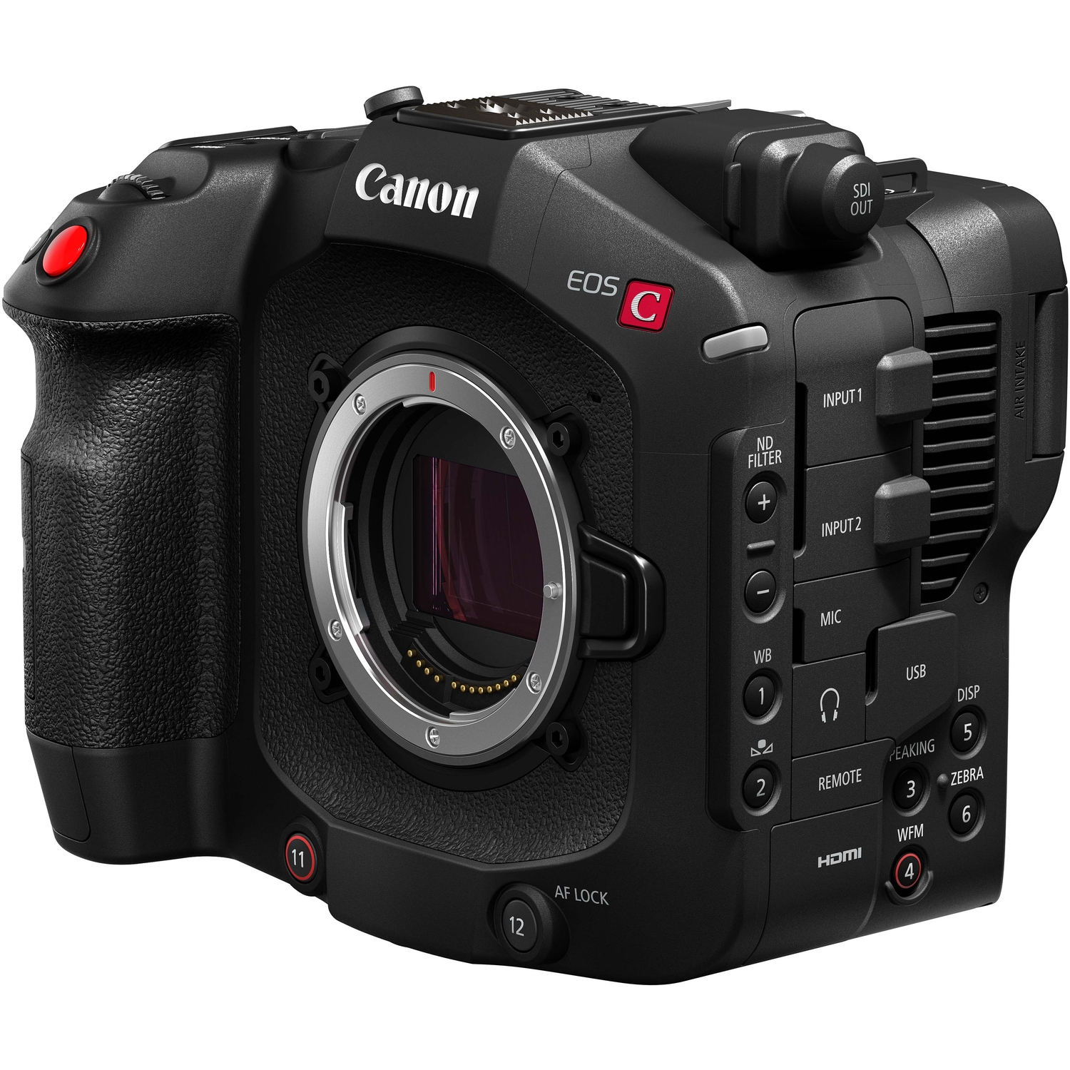 Canon EOS C80
