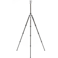 Benro Reisestativ Rhino 24C mit Kugelkopf VX25