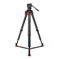 Sachtler SACSA2072FTGS System aktiv10 flowtech100 GS