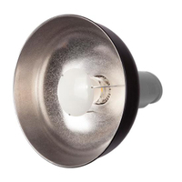 Bowens Beauty Dish