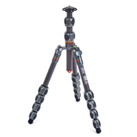 3 Legged Thing Pro 2.0 Leo Carbon grau