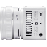 Godox Bi-Color LED Videolicht ML80Bi