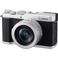 Panasonic LUMIX DC-L10 silber