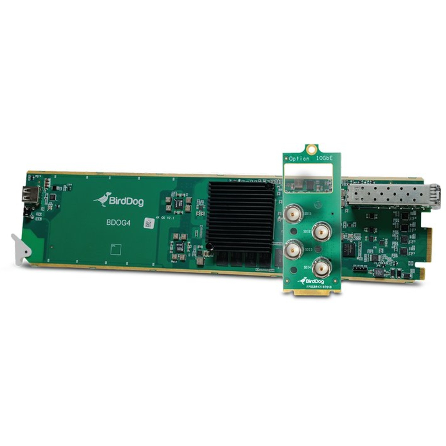 BirdDog OG4 NDI-OpenGear-Karte Encoder/Decoder