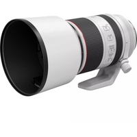 Canon EOS R6 Mark II mit RF 70-200mm F2.8L IS USM