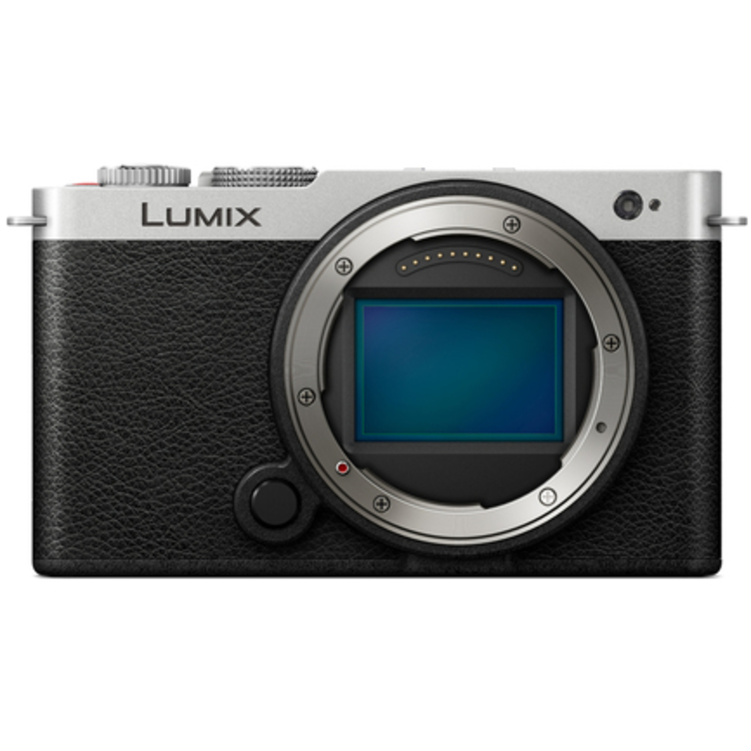 Panasonic LUMIX DC-S9 schwarz-silber mit LUMIX S 18-40mm F4.5-6.3