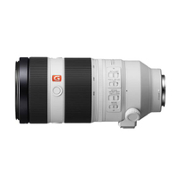 Sony Alpha 7S III mit FE 100-400mm F4.5-5.6 G Master OSS