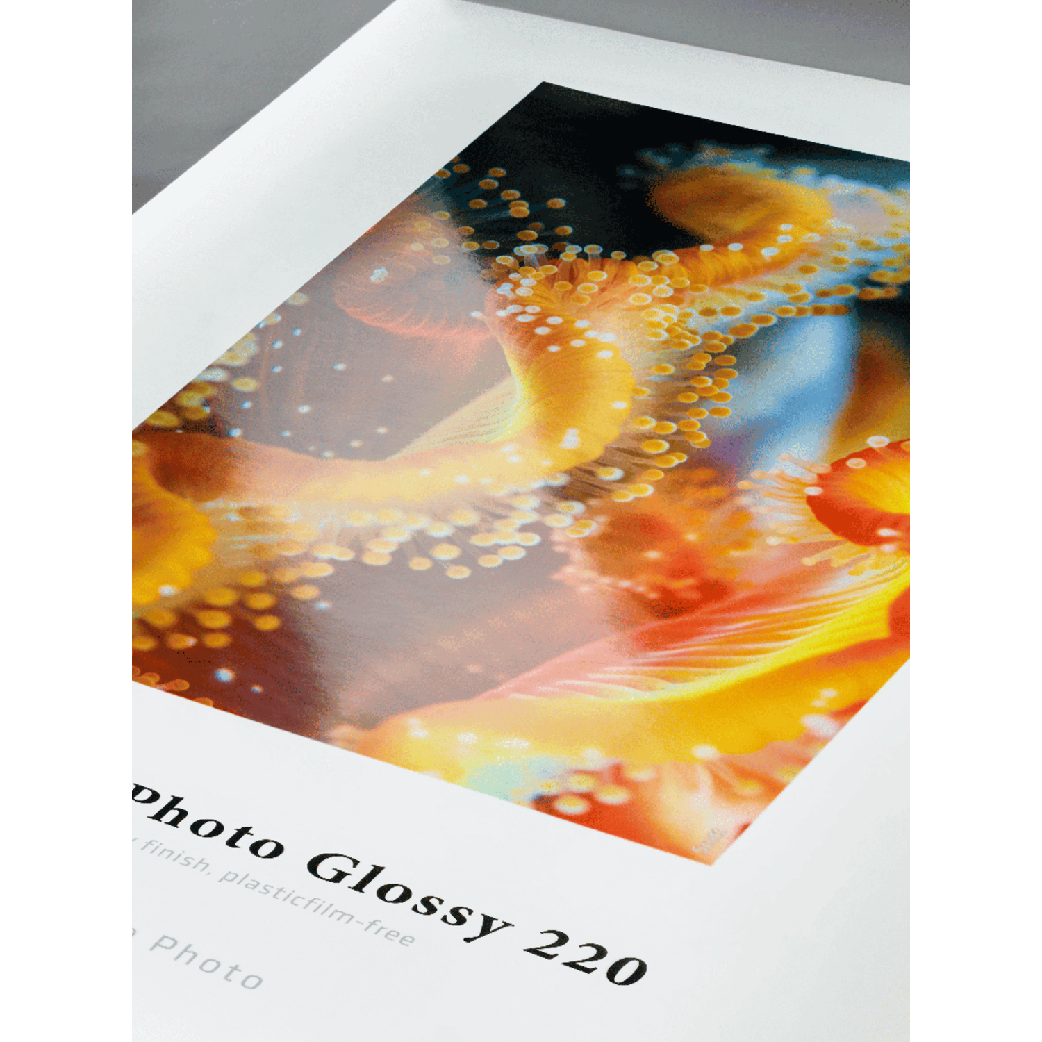 Hahnemühle Sustainable Photo Glossy 220g/m² 60"x30m