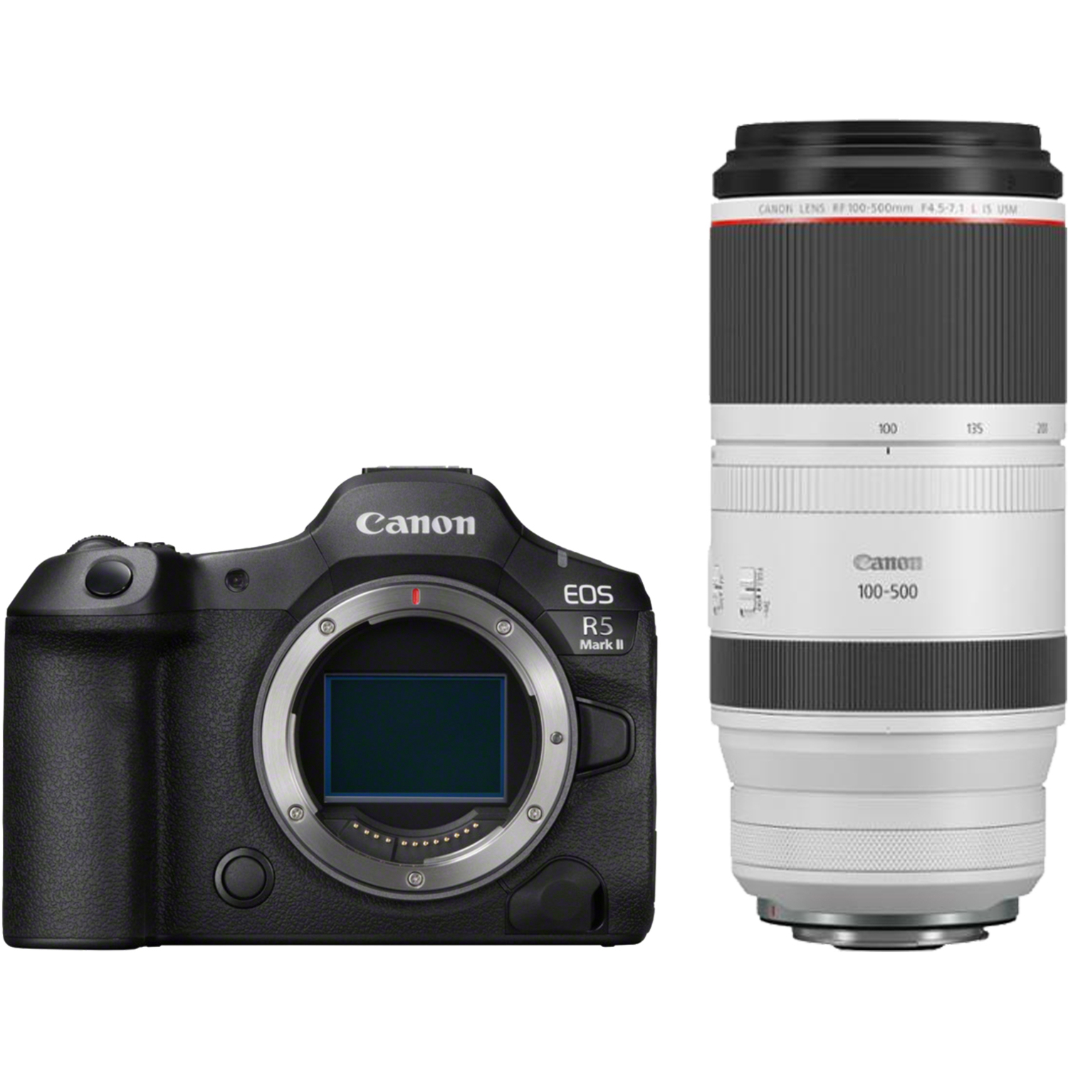 Canon EOS R5 Mark II mit RF 100-500mm F4.5-7.1L IS USM
