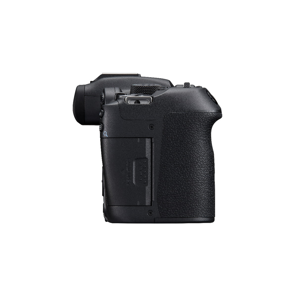 Canon EOS R7 mit RF 100-400mm F5.6-8 IS USM