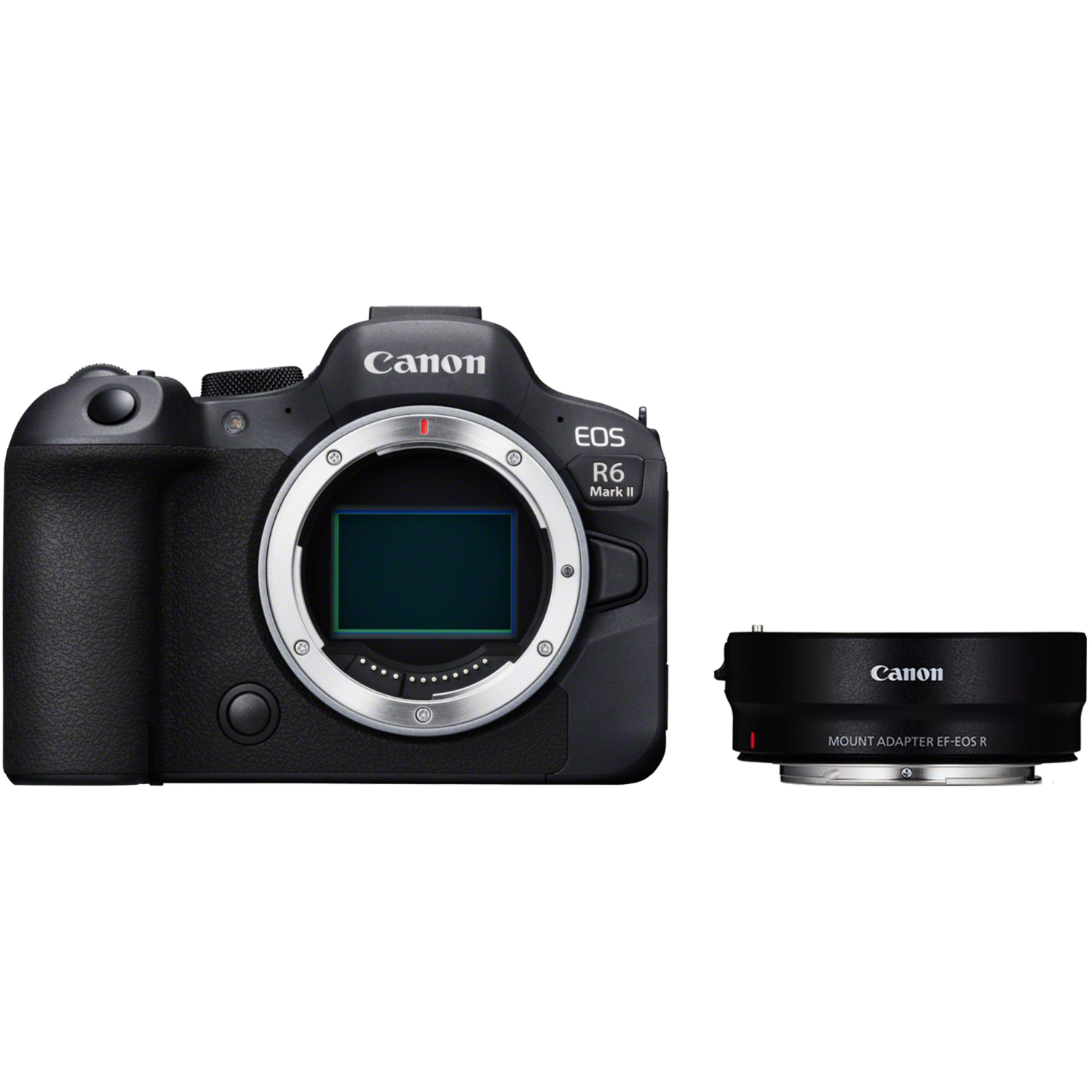 Canon EOS R6 Mark II mit EF-EOS R Bajonettadapter