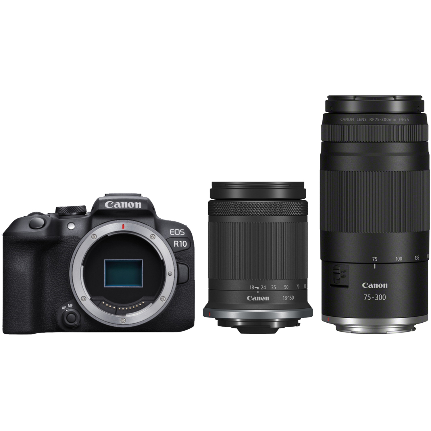 Canon EOS R10 mit RF-S 18-150mm F3.5-6.3 IS STM ohne Adapter und RF 75-300mm F4-5.6